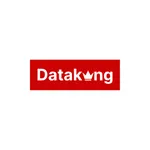 DataKing icon
