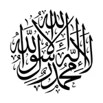 Pro Muslim: Quran & Sunnah icon
