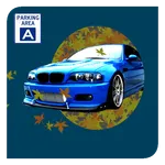 Driving a Car Game icon