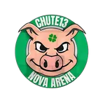 Arena Chute13 icon