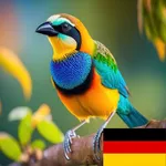 Learn Animals in German icon