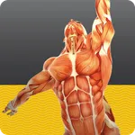 Muscle Tests 1 icon