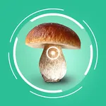MushroomAiSnap-Mushroom Ident icon
