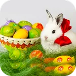 Easter Bunny Live Wallpaper HD icon