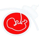 Pregnancy Age Calculator icon