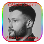Calum Scott  If Our Love Is Wr icon