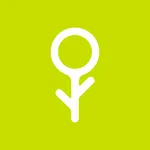 Fliwer icon