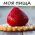 Моя пища icon