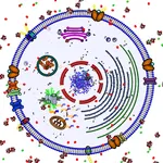 Animal Cell for High School Sc icon