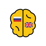 Мой словарь. Учите английские  icon