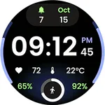 Track Flow Watch Face icon
