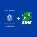 SINEs e Agências do trabalho n icon