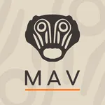 MAV Paolino Macchia icon