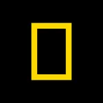 National Geographic icon