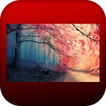 خلفيات طبيعة icon