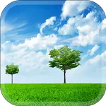 Nature Vibe Wallpaper icon