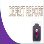 Defect Report icon
