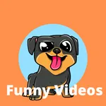 Funny Videos Comedy icon