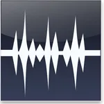 WavePad Master's Edition 2023 icon