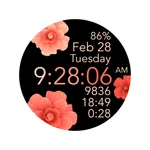 Peach Flowers (No Animation) icon