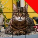 Jigsaw Cat Mosaic Puzzles icon