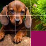 Jigsaw Puzzles: HD Puzzle Game icon