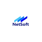 B2B Netsoft icon