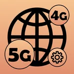 Network Settings icon