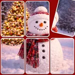 Jigsawflow Solitaire Puzzle icon