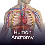 Human Anatomy icon