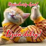 Dzień dobry! Dobranoc icon