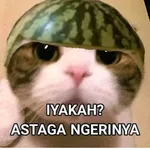 Stiker Kucing Berteks Lucu icon