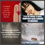 Frases Indirectas y Reflexión icon