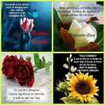 Buenos dias con flores icon