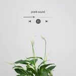 PRANKSOUND icon