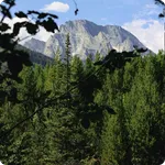 Jackson Hole Travel Guide icon