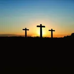 The Spoon Experience icon