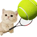 Cat Tennis Star icon