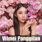 Vilmei Panggilan Wallpapers HD icon
