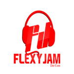 FlexyJam - South Africa Music  icon