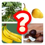 Kuis Tebak Nama Buah icon