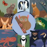 AmazingAnimalAtlas icon