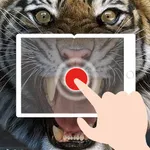 TapADot-Animals icon
