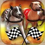 Dog Racing Betting Online icon