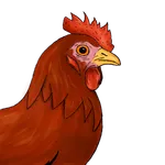 Poule icon