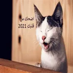 نكت رائعة 2021 icon