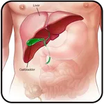 Liver Pain Home Remedies icon