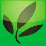 KIWI-Laurel icon