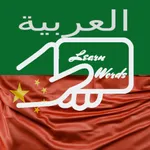 Practice Chinese Arabic Words icon