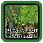 Obat Alami Hama Padi icon